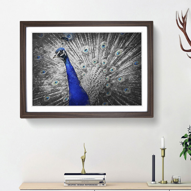 Peacock with Its Feathers Spread - Picture Frame Graphic Art Print on MDF, 36cm H x 48cm W x 2cm D, Walnut Framed