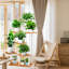 Support pour plante 7 niveaux-1980901367