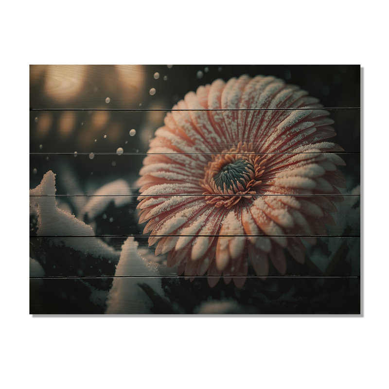 Une fleur de gerbera rose en hiver III - Impression sur toile, H 16 po x l 32 po x P 1 po, Bois