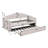 Izzibella Upholstered Daybed-1557492175