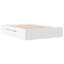 Abhijith Storage Bed-1374671063-1374671082
