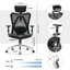Ergonomic Office Chair, with Adjustable Headrest and Lumbar Support, High Back-244411675