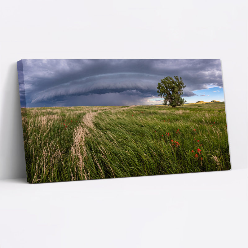«Green Prairie Field with Lone Tree Under Massive Storm», art mural sur toile, L 32 po x H 16 po
