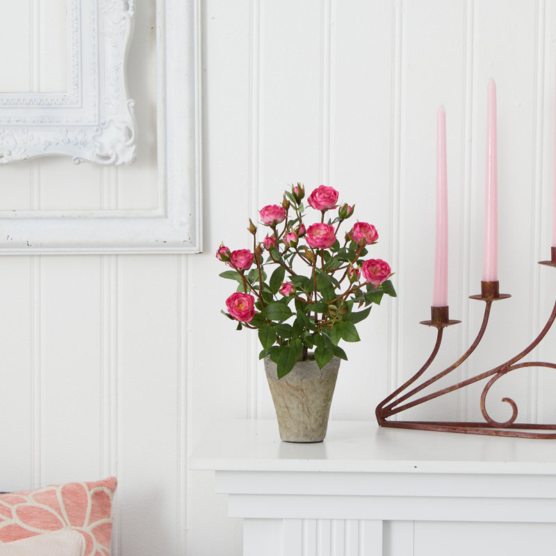 Arrangement floral de roses françaises en pot