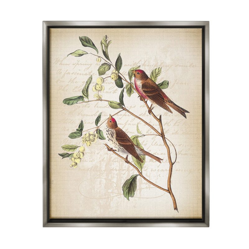 "Birds With Vintage Cursive" par Lula Bijoux & Co. sur toile, Cadre flottant gris lustré, H 21 po x l 17 po