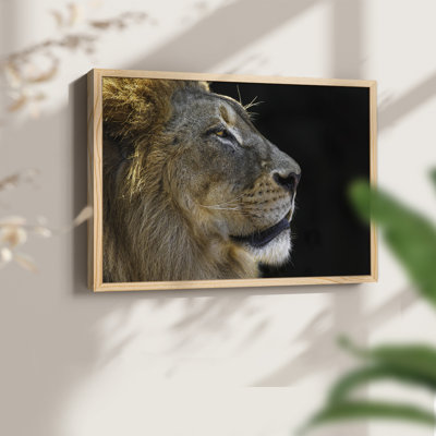 The King -Framed Print - Restickable