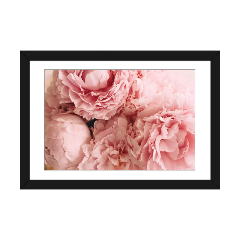 «Blush Peony», impression sur toile, H 24 po x l 32 po x P 1 po, Papier d'art encadré noir, Blanc