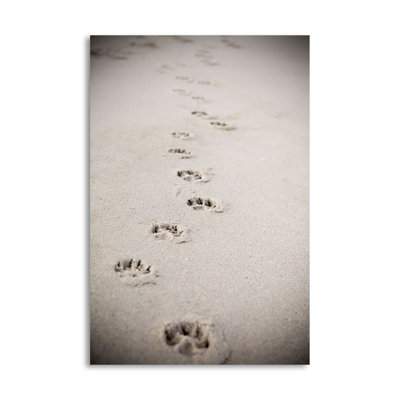 " Paw Prints " by Karyn Millet