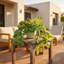 7.5'' Artificial Foliage Plant in Pot
