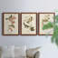 Oiseau de riz Wandering, reproduction d'art sur toile-1813864140-1813864143