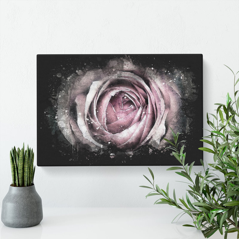 A Pale Pink Rose - Wrapped Canvas, 50cm H x 76cm W x 3cm D