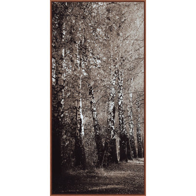 Oak Path Triptych A Print by Lillian August