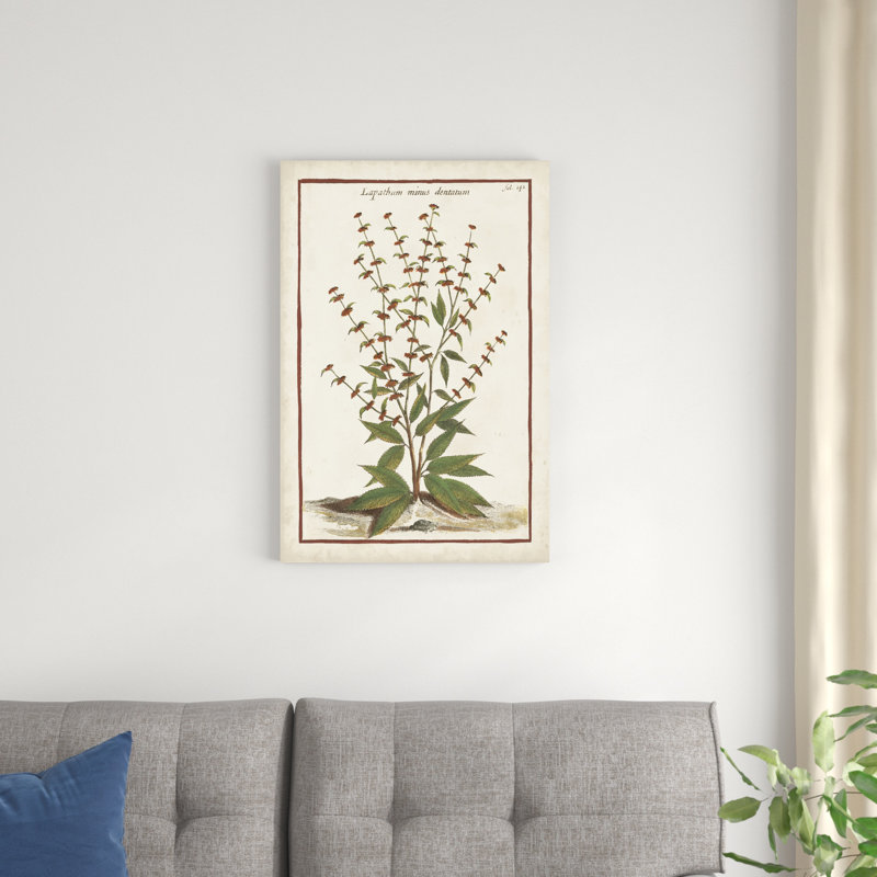 Munting Botanicals III, H 30 po x l 20 po