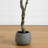6ft. Artificial Autumn Dogwood Fall Tree in Decorative Planter