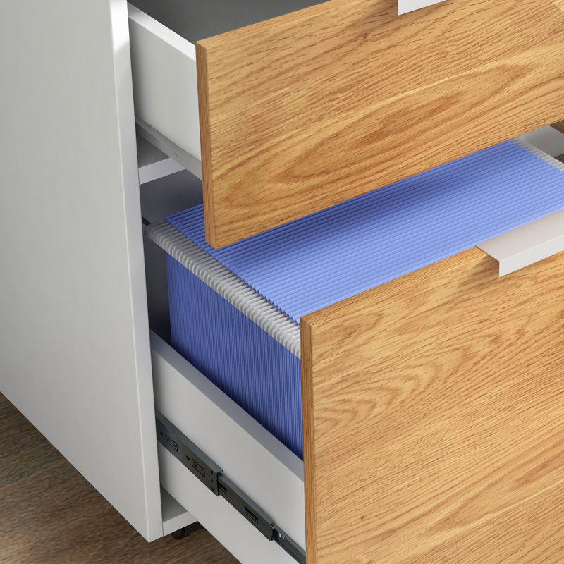 Radhika 42cm Wide 2 -Drawer Mobile File Cabinet