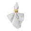 18" Cotton Napkin-1007360969