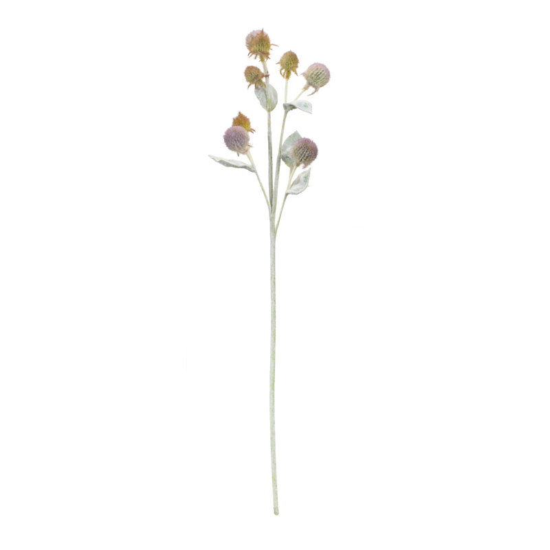 Jet de feuillage Thistle (ensemble de 6)
