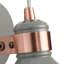 Azalea Spotlight-25454767