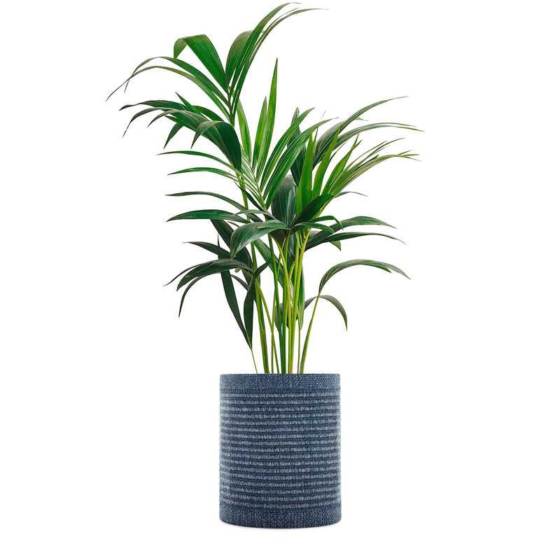Cache pot Kleo, Bleu
