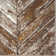 Forkland Beige/Gold Indoor/Outdoor Area Rug