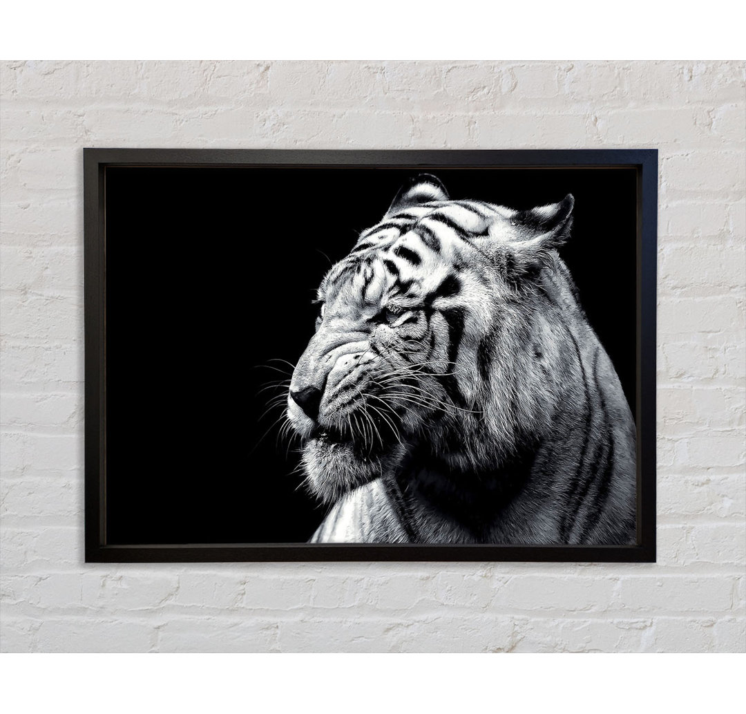 Tiger Black And White 2 - Einzelner Bilderrahmen Kunstdrucke auf Leinwand