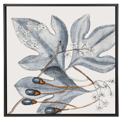 Vintage Blue Botanical II Black (P83332) - No Mat
