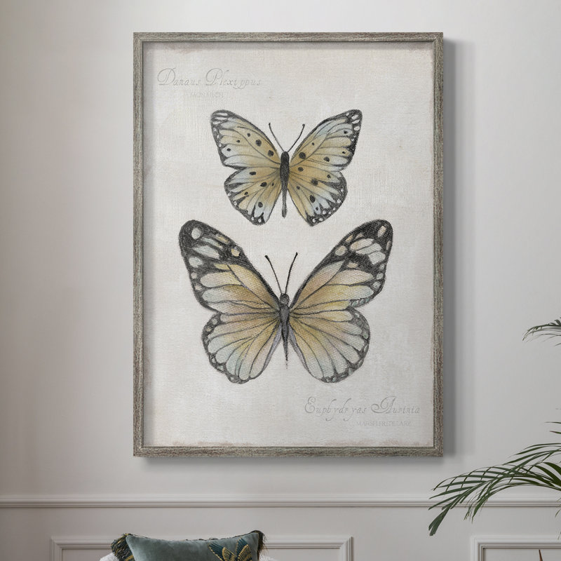 «Vintage Butterflies I», reproduction encadrée - bois massif, H 21 po x l 17 po
