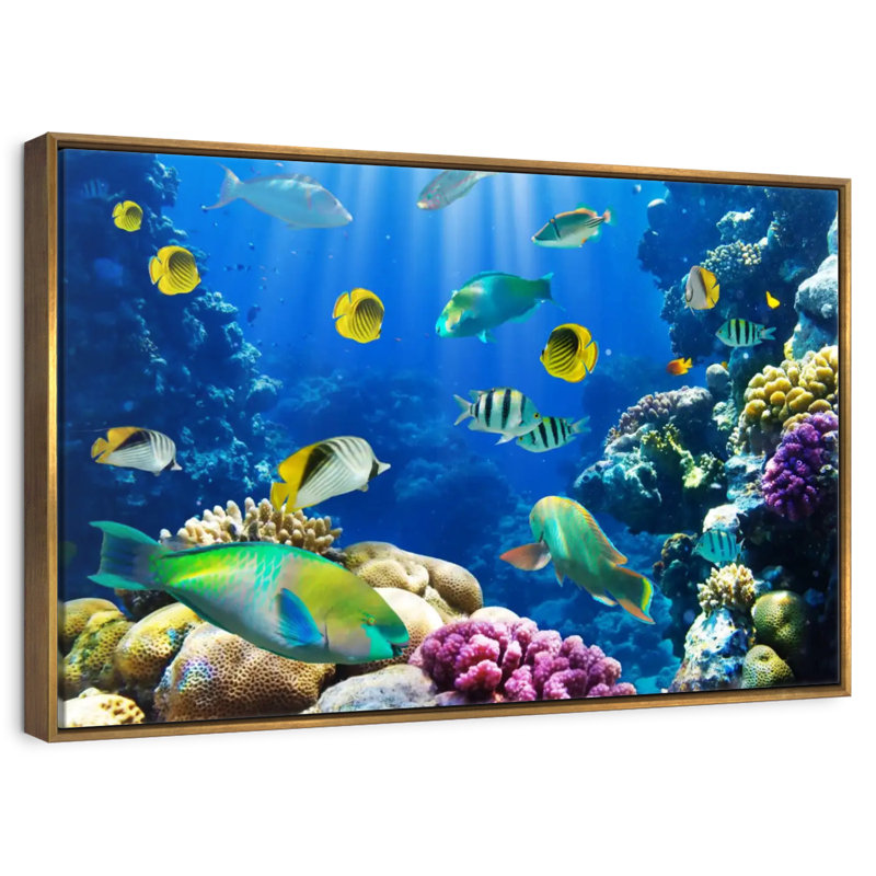 Underwater Sea Creatures, 19" X 13", Floating Frame Gold