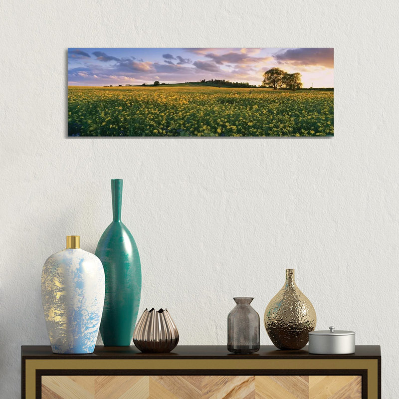 Oilseed Rapes In A Field, St. Leonard's, Holme-On-Spalding-Moor, East Yorkshire, England - Wrapped Canvas Panoramic Print