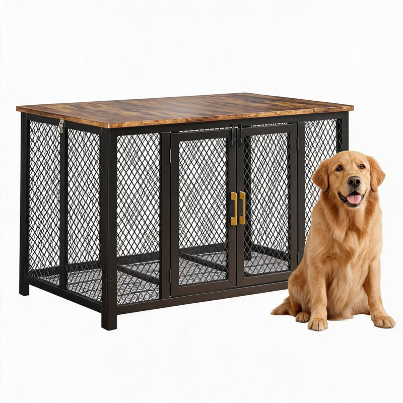 Dog House