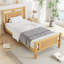 Bed-1307984546