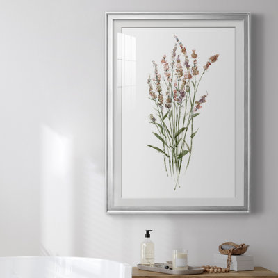 Dainty Botanical II - Single Picture Frame Print