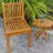 Catriona Teak Wood Premium All-Weather Wicker Outdoor Dining Side Chair