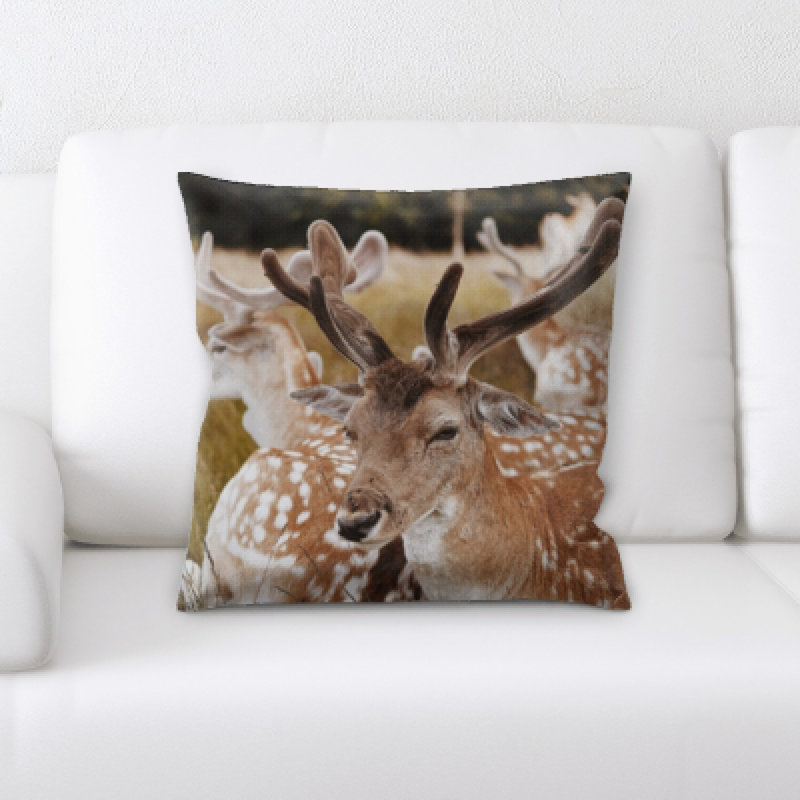 Microsuede Reversible Throw Pillow