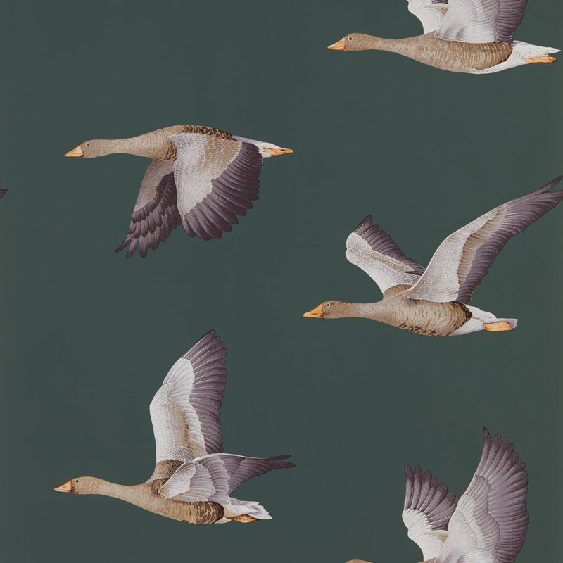 Elysian Geese 10.05m x 68.6cm Matte Wallpaper Roll
