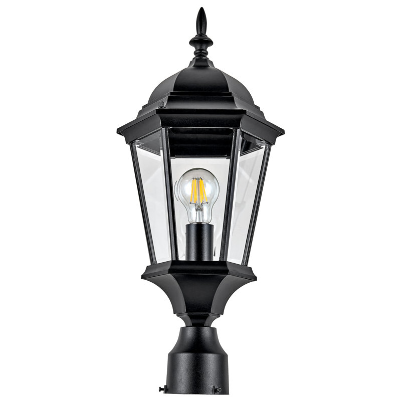 Adaam Lantern Head