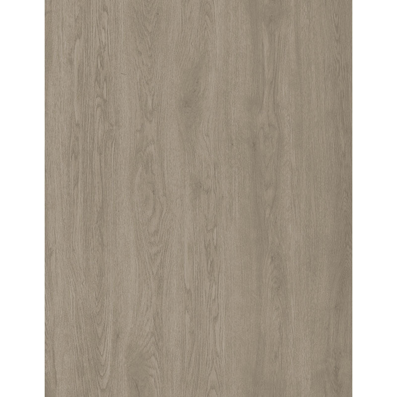 Planche d'échantillon Gluecore Essential # 8007 Frisco, Ash Grey
