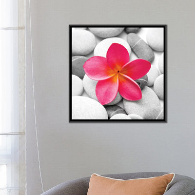" Zen Flower " by PhotoINC Studio
