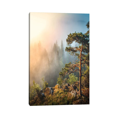 Morning Haze by Lauri Lohi - Wrapped Canvas Print