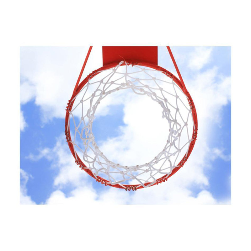 Murale de basketball, L 121 po x l 157 po