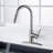 Pull Down Single Handle Kitchen Faucet With Deck Plate, Handles and Supply Lines-61413918