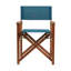Antero Folding Director Chair