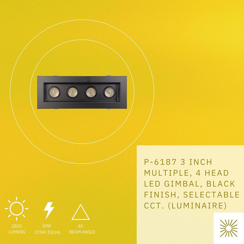 Lumière pour cardan à 3 têtes à 4 têtes 30 W? 2800 lumens Percclow, Noir