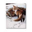 «Stupell Industries Winter Foxes», art mural sur toile par Kevin Daniel-106007773-91311360