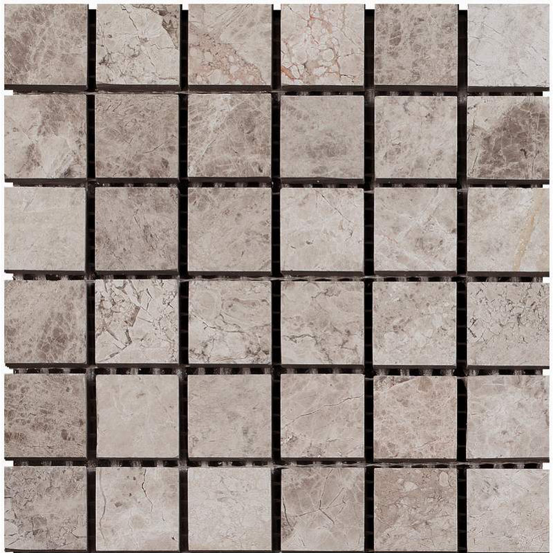 2x2 MOSAIC POLISHED, Silver Shadow