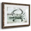 Neutre crabe I - impression d'un seul cadre photo-1758316485