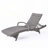 Hershman Outdoor Chaise Lounge Set