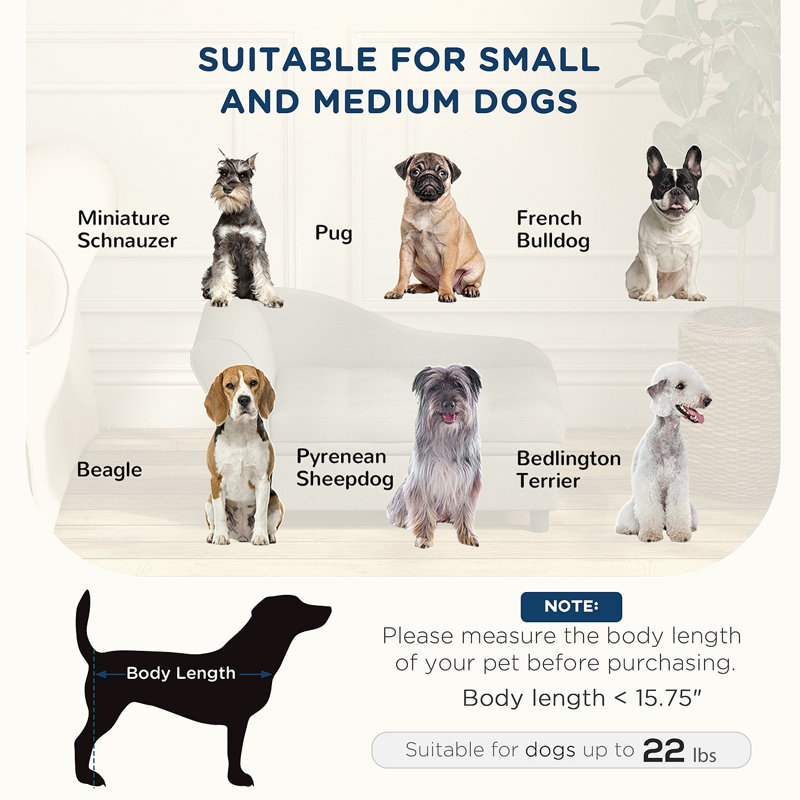Canapé pour animal de compagnie Pawhut, canapé pour chien, lit surélevé pour petits et moyens chiens, avec rangement caché, coussin doux capitonné, gris