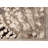 Abbey Floral Cream/Gray Area Rug-1650215609
