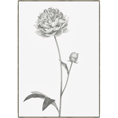 A Flower Of Day I Print by Janice Sadler
